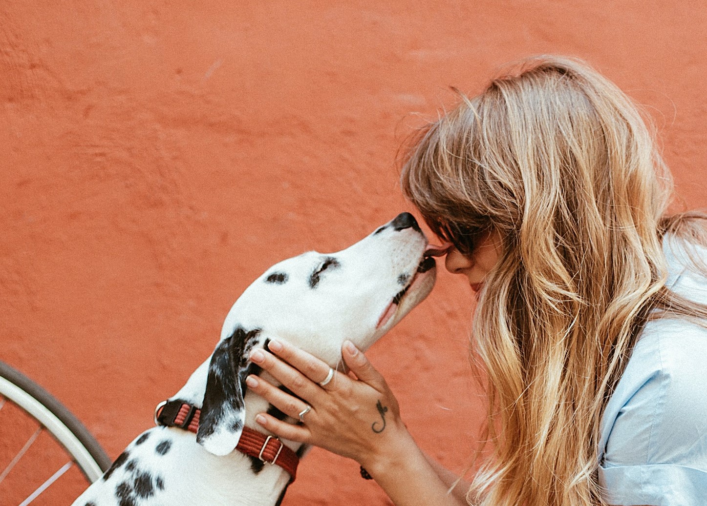 Intern/Trainee Company Leads